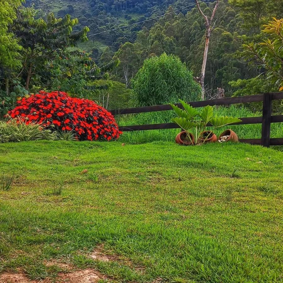 Chale Araucaria- Vale Das Pedras Mg Sapucaí-Mirim Exteriör bild