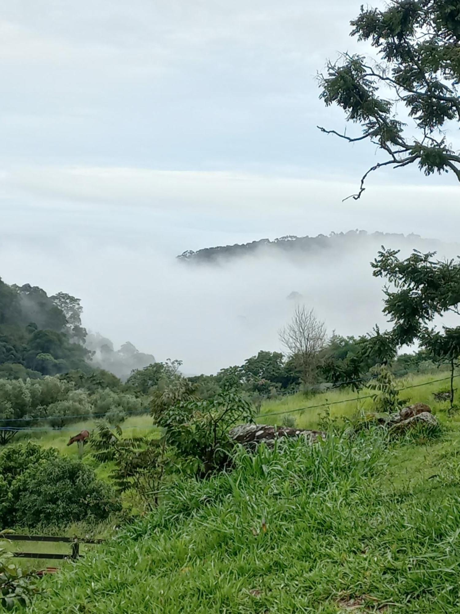 Chale Araucaria- Vale Das Pedras Mg Sapucaí-Mirim Exteriör bild