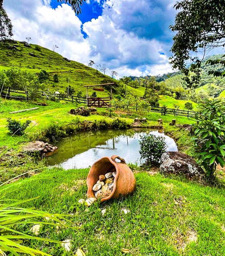 Chale Araucaria- Vale Das Pedras Mg Sapucaí-Mirim Exteriör bild